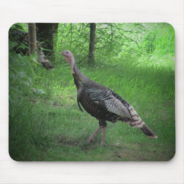 American Wild Turkey Mouse Mat (Front)