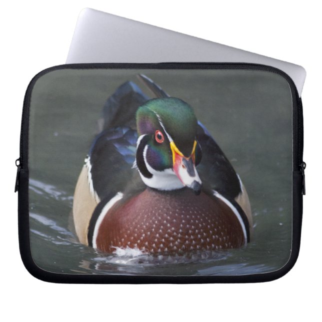 American Wood Duck Laptop Sleeve (Front)