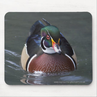 American Wood Duck Mousemat