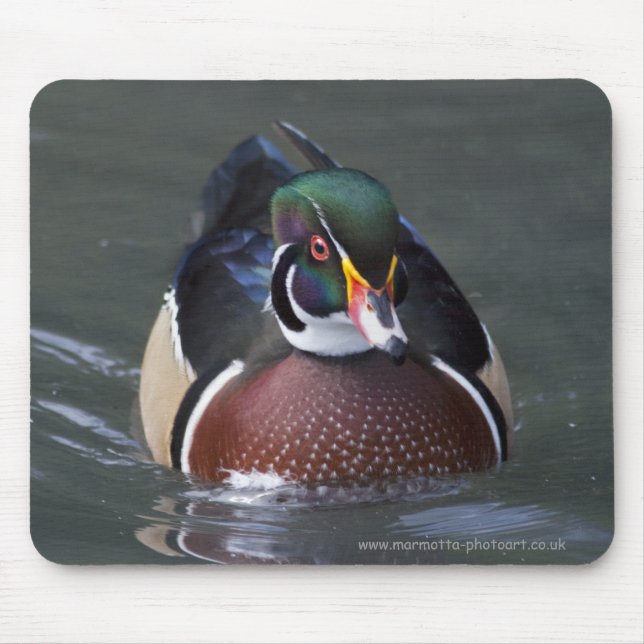 American Wood Duck Mousemat (Front)