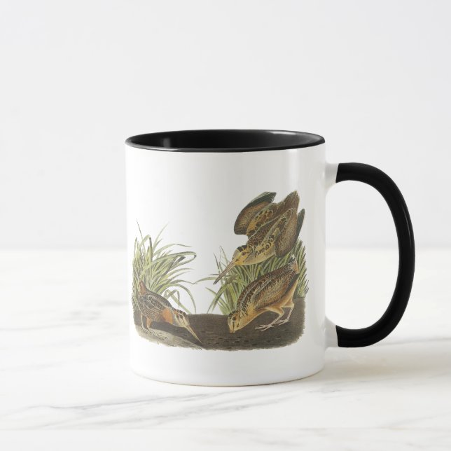American Woodcock, John Audubon Print Mug (Right)