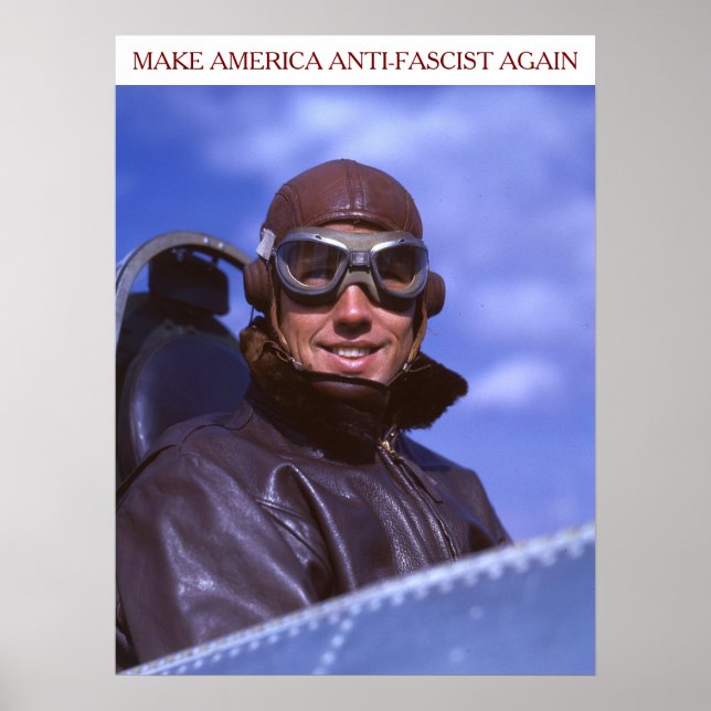 American WWII Pilot MAAFA Poster (Front)