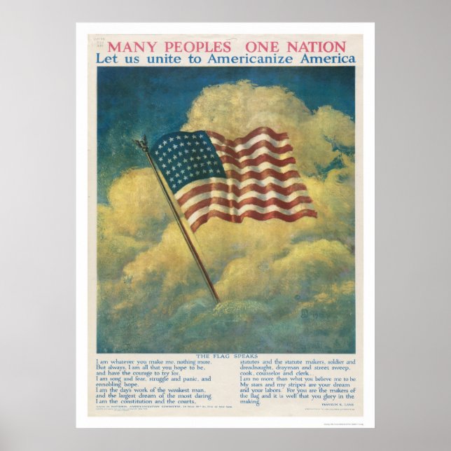 Americanise America Poster (Front)