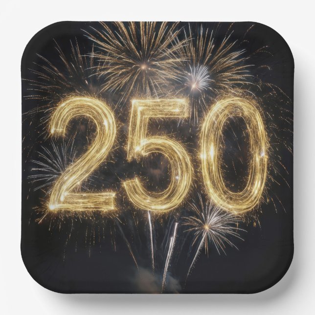 America's 250th Birthday Fireworks Paper Plate (Front)