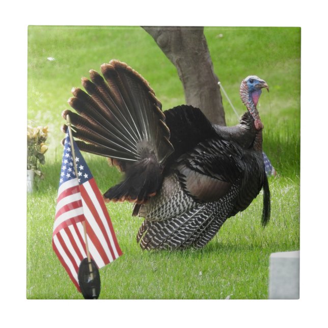 America's Bird Wild Tom Turkey  Tile (Front)