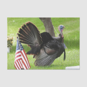 America's Bird Wild Tom Turkey Tissue Paper