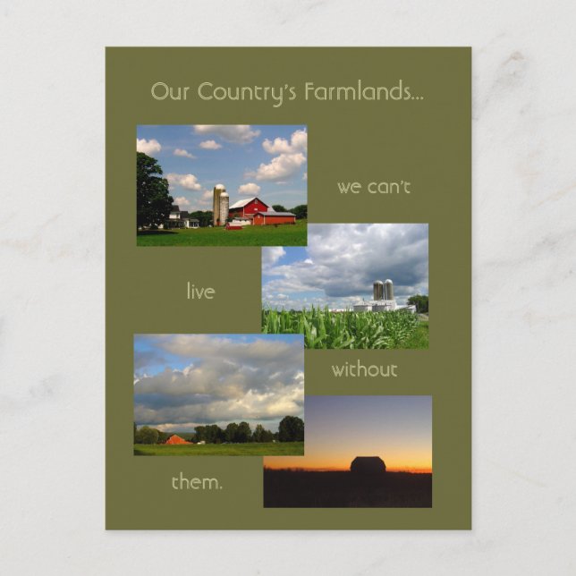 America's Farmlands 1 photo postcard (Front)