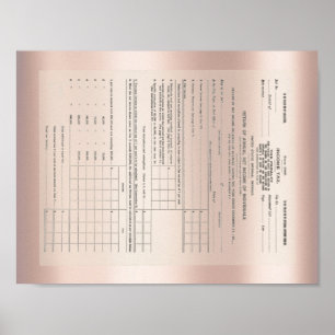 America's First Income Tax Form 1040 Rose Gold Poster