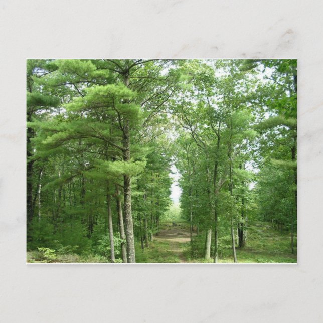 America's Stonehenge, Salem, VT Postcard (Front)