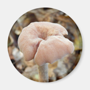 Amethyst Deceiver Mushroom Magnet