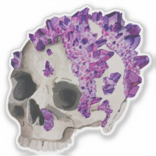 Amethyst Encrusted Skull