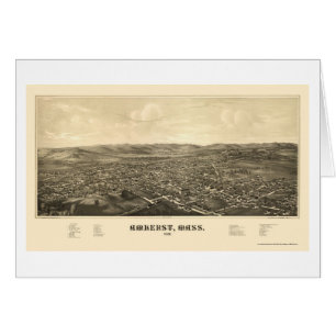 Amherst, MA Panoramic Map - 1886