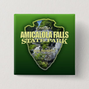 Amicalola Falls (arrowhead) 15 Cm Square Badge