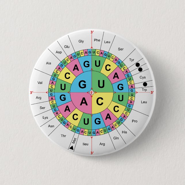 Amino Acid Base Sequence Table Diagram 6 Cm Round Badge (Front)
