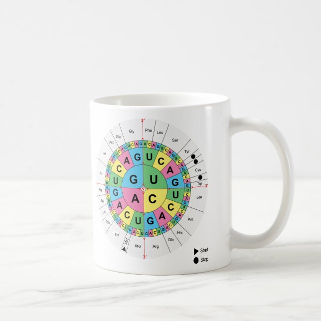 Amino Acid Base Sequence Table Diagram Coffee Mug (Right)