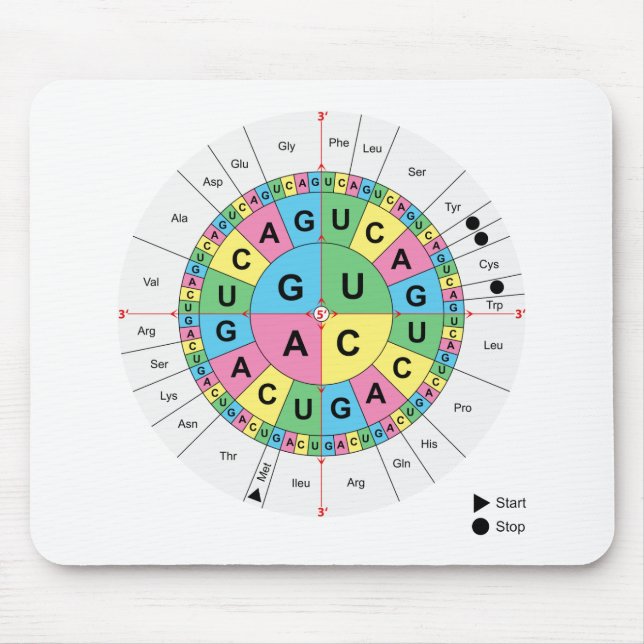 Amino Acid Base Sequence Table Diagram Mouse Mat (Front)