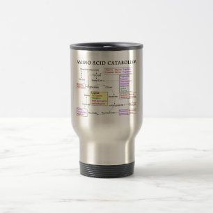 Amino Acid Catabolism Diagram Travel Mug