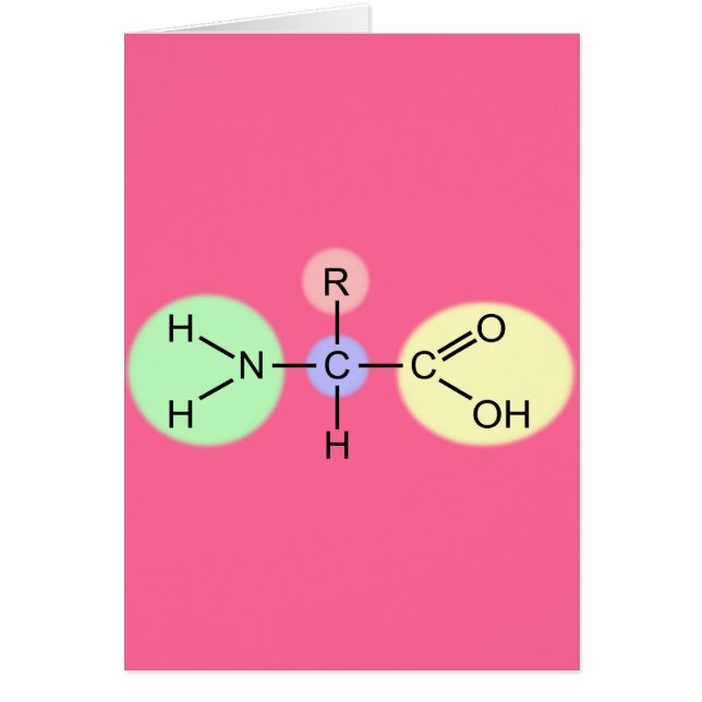 Amino Acid Diagram (Front)