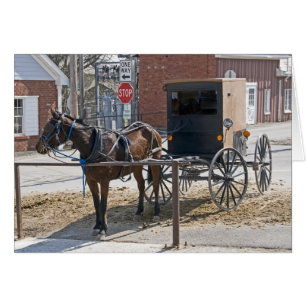 Amish