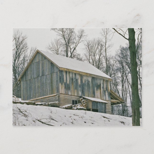 Amish Barn-Postcard Postcard (Front)