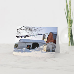 Amish Barnyard at Christmastime Holiday Card
