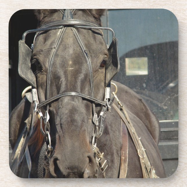 Amish Buggy Horse Coaster (Front)