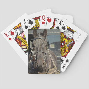 Amish Buggy Horse Playing Cards