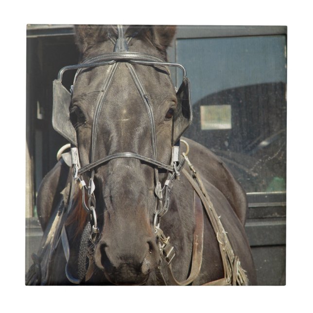 Amish Buggy Horse Tile (Front)