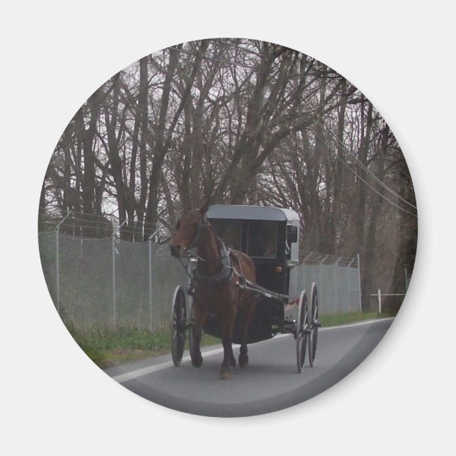 Amish Buggy Magnet (Front)