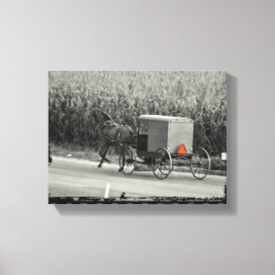Amish Buggy Monochrome Canvas Print