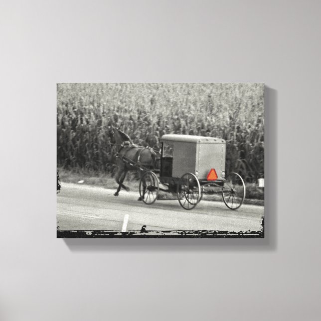 Amish Buggy Monochrome Canvas Print (Front)