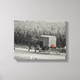 Amish Buggy Monochrome Canvas Print