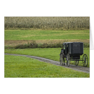 Amish buggy on farm lane, Northeastern Ohio,