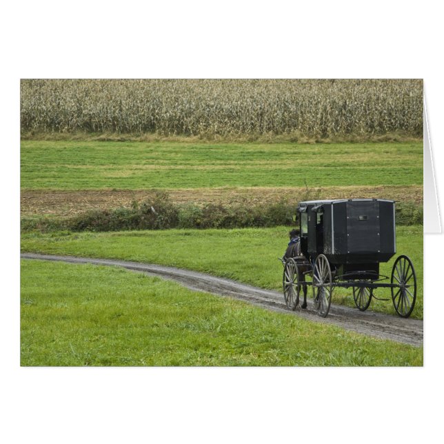 Amish buggy on farm lane, Northeastern Ohio, (Front Horizontal)