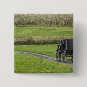 Amish buggy on farm lane, Northeastern Ohio, 15 Cm Square Badge