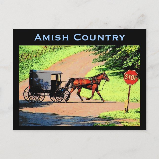 Amish Buggy Postcard (Front)