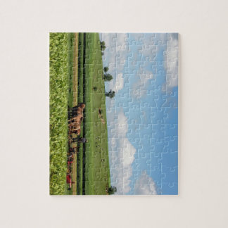 Amish Country Jigsaw Puzzle