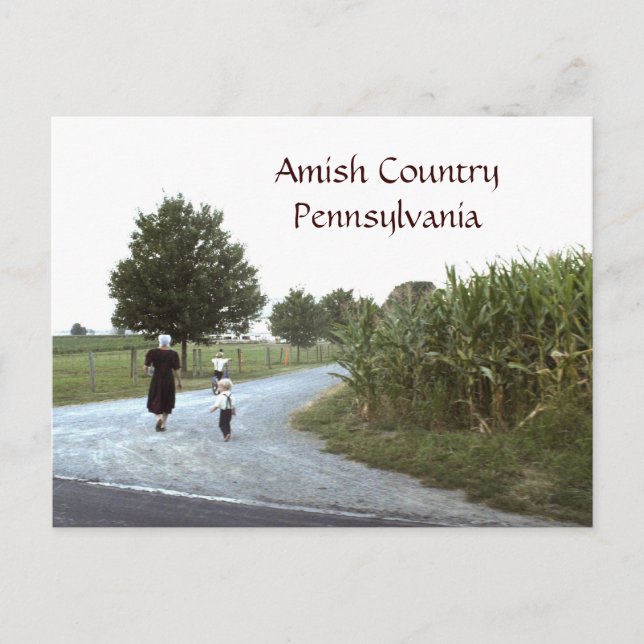 Amish Country Pennsylvania PA Postcard (Front)