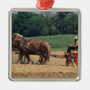 Amish Country simple people in farming with Metal Tree Decoration