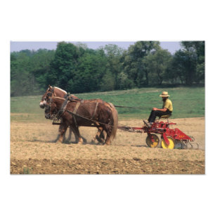 Amish Country simple people in farming with Photo Print