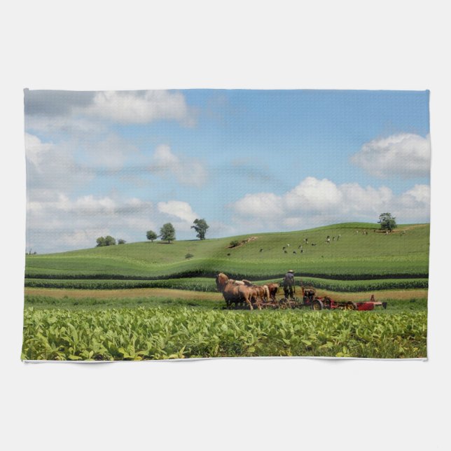 Amish Country Tea Towel (Horizontal)