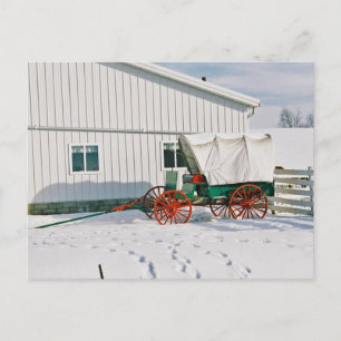 Amish Covered Wagon-Postcard Postcard