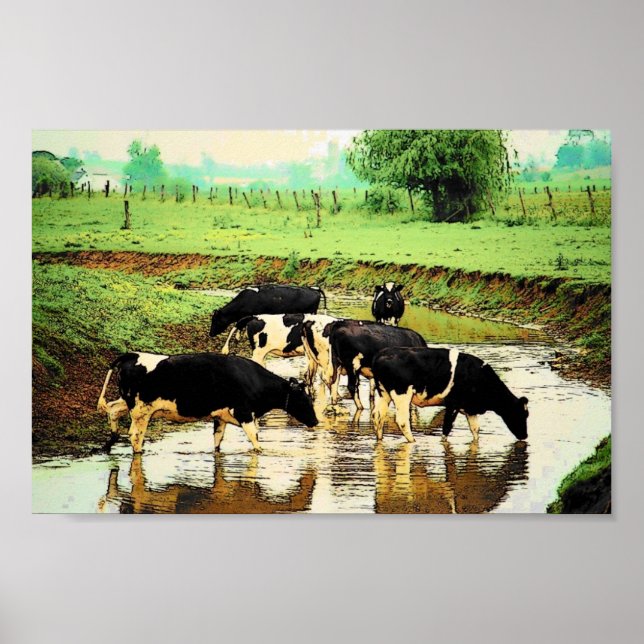 Amish Cows Poster (Front)