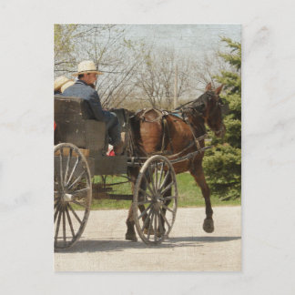 Amish Family Heading Home Postcard
