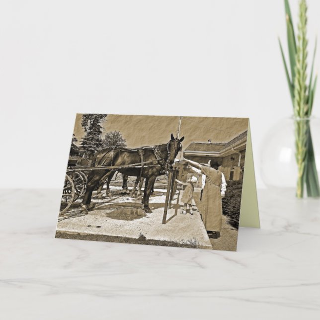 Amish Family Petting Horse Greeting Card (Front)