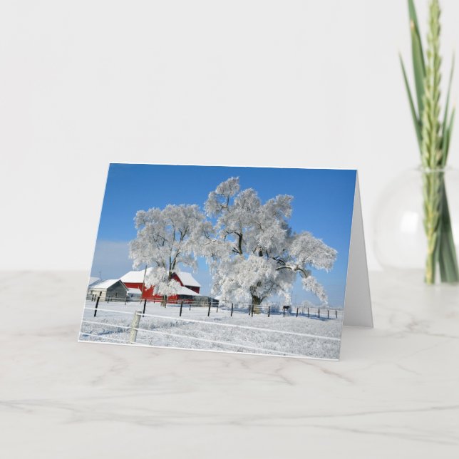 Amish Farm Ice Tree Holiday Card (Front)