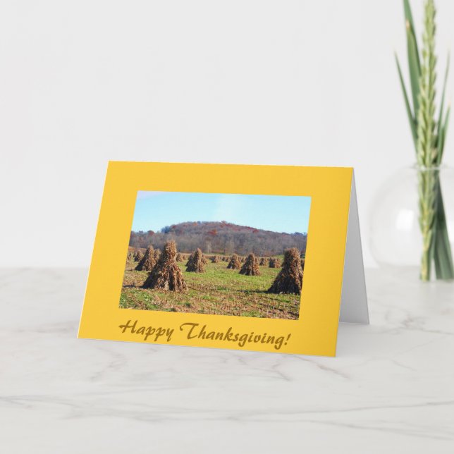 Amish Fields, Happy Thanksgiving! Holiday Card (Front)