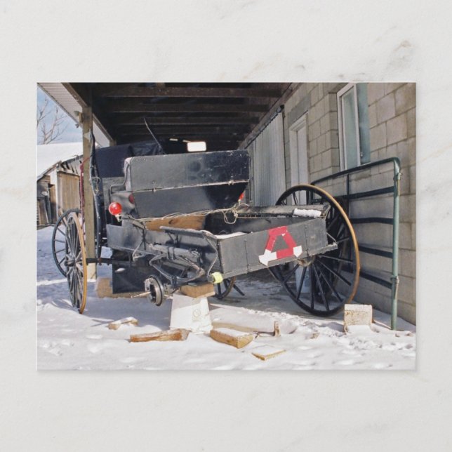 Amish Flat-Postcard Postcard (Front)