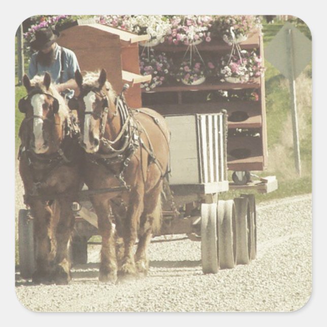 Amish Flower Delivery Square Sticker (Front)