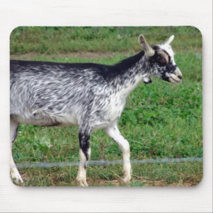 Amish Goat Mouse Mat